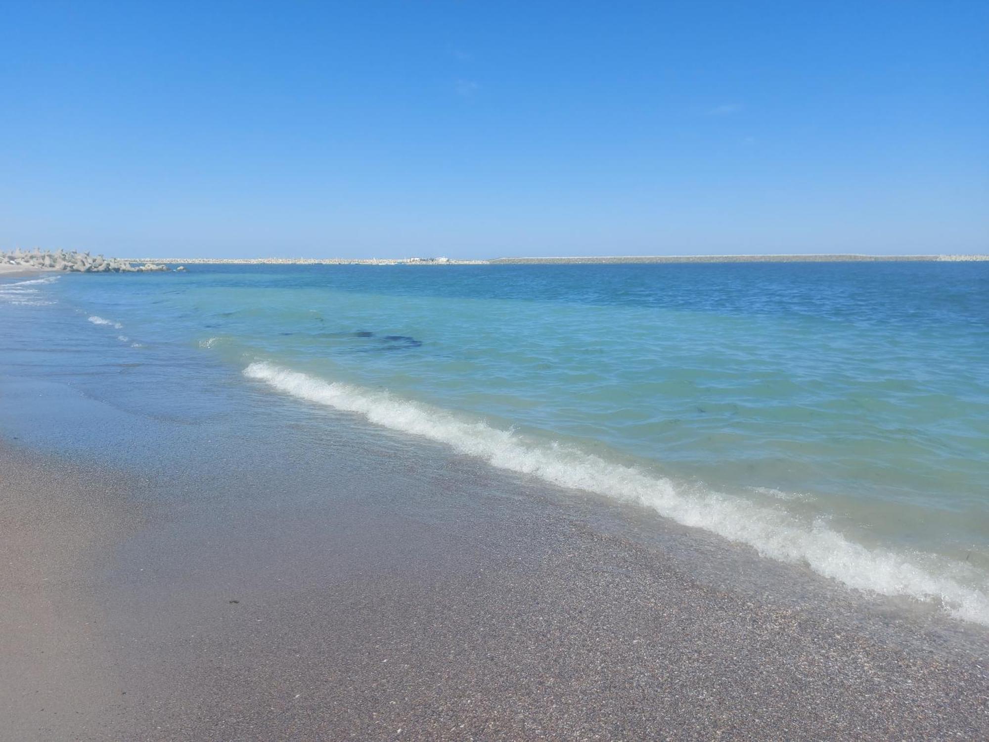 Flomar By The Sea Apartment Mangalia Ngoại thất bức ảnh